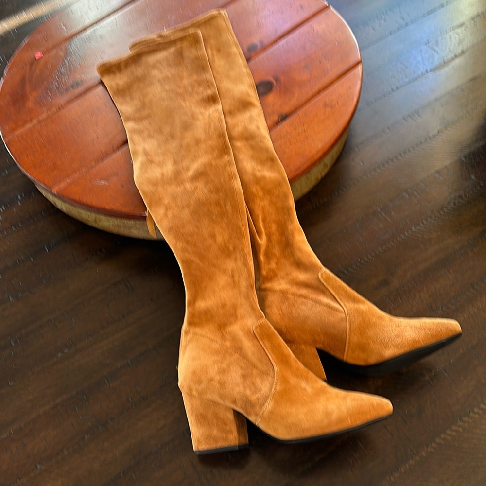 Thigh High Suede Boots